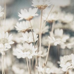 Meet your Posher, Meggie